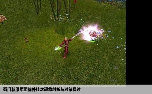 蜀门私服军团战外挂之现象剖析与对策探讨