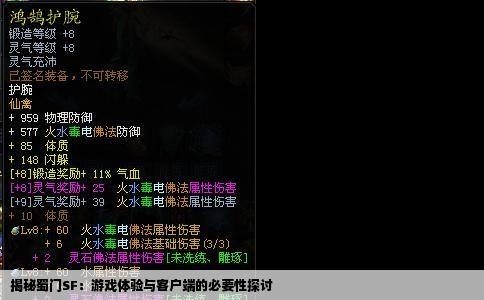 揭秘蜀门SF：游戏体验与客户端的必要性探讨