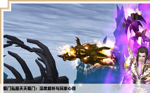 蜀门私服天天蜀门：深度解析与玩家心得