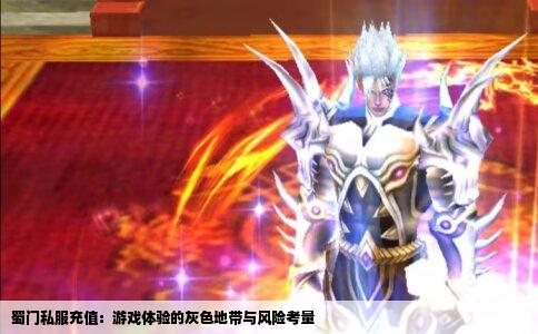 蜀门私服充值：游戏体验的灰色地带与风险考量