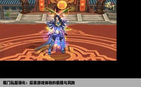 蜀门私服强化：探索游戏体验的极限与风险