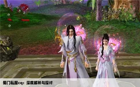 蜀门私服cq：深度解析与探讨